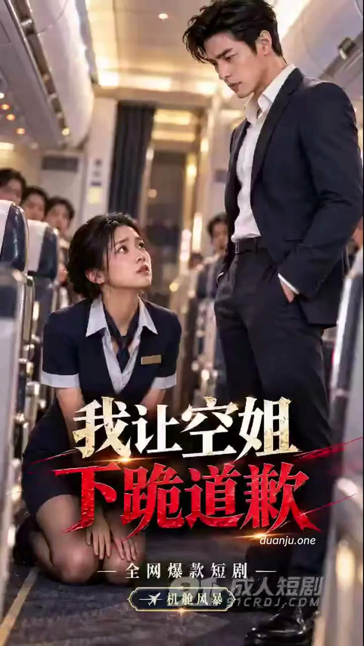 我让空姐下跪道歉封面